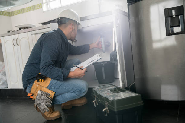 Best Affordable Plumbing Services  in Lake Barrington, IL