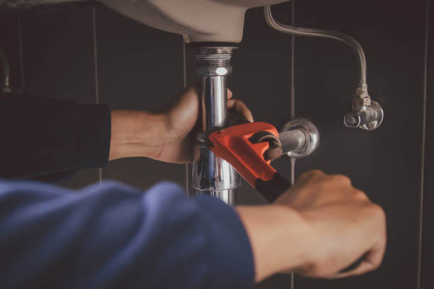 Best Plumbing Repair Near Me  in Lake Barrington, IL